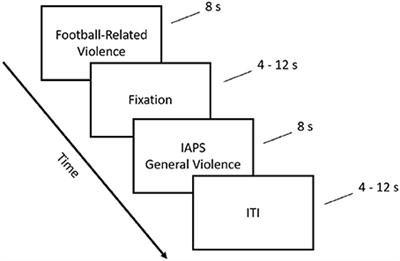 North American Football Fans Show Neurofunctional Differences in Response to Violence: Implications for Public Health and Policy